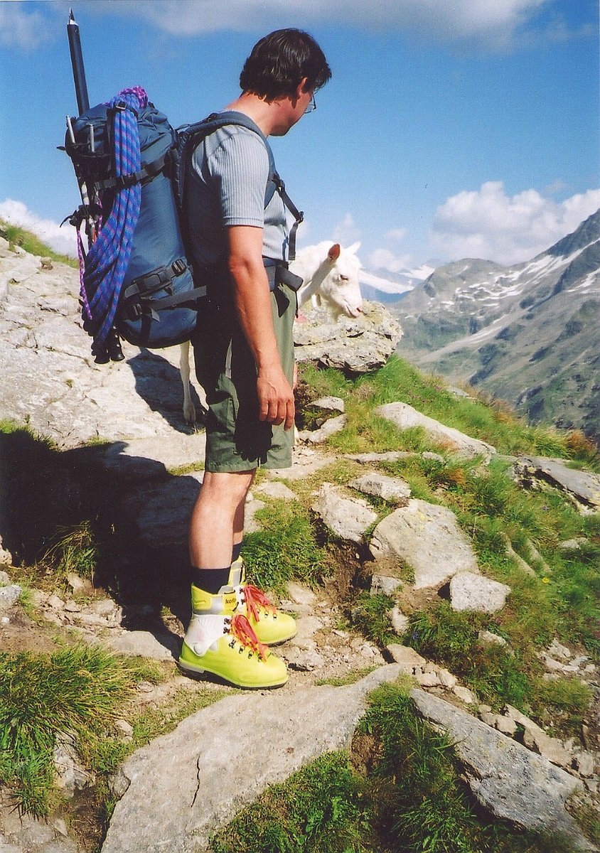 130.JPG - Eine Ziege im Hintergrund, war lange unser Begleiter auf dem Rückweg ab der Hütte.