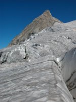 DSCN5754