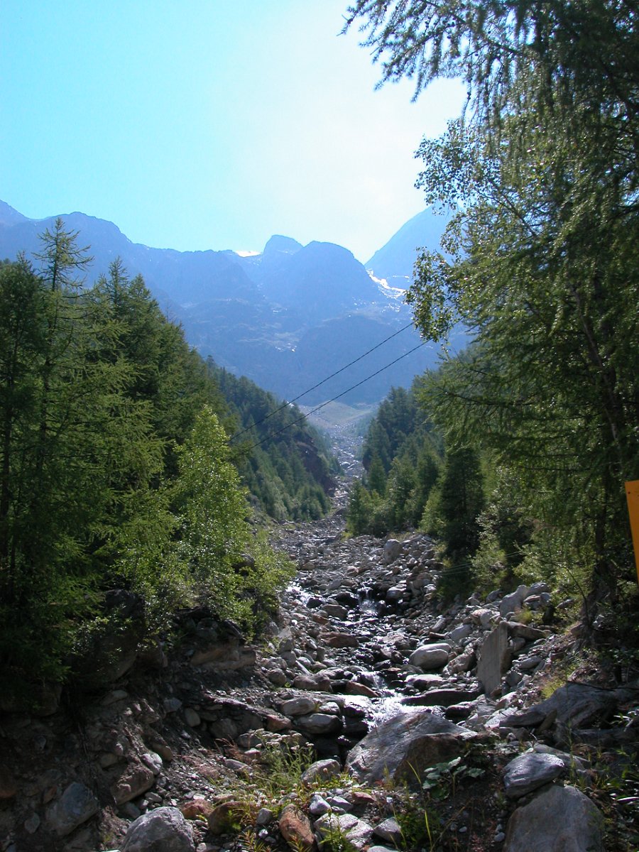DSCN6508.JPG - Von Randa im Mattertal im Aufstieg auf die Domhütte.