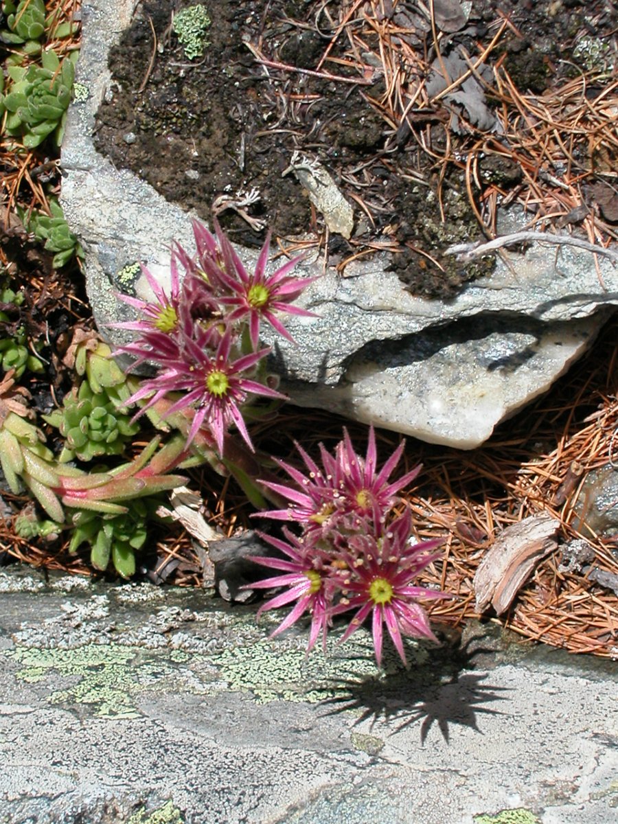 DSCN6511.JPG