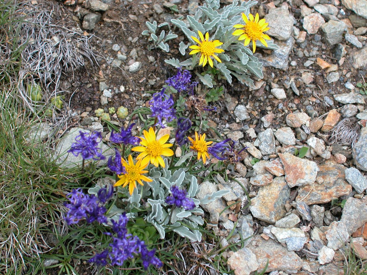 DSCN6517.JPG