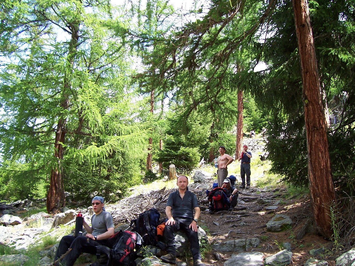 100_0785.JPG - Aufstieg durch den Bergwald von Randa in Richtung Europahütte.