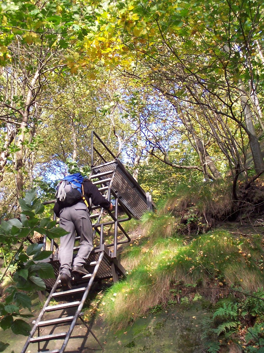 100_1750.JPG - Der Wildschützensteig, auf dem Weg zur Schrammsteinaussicht.