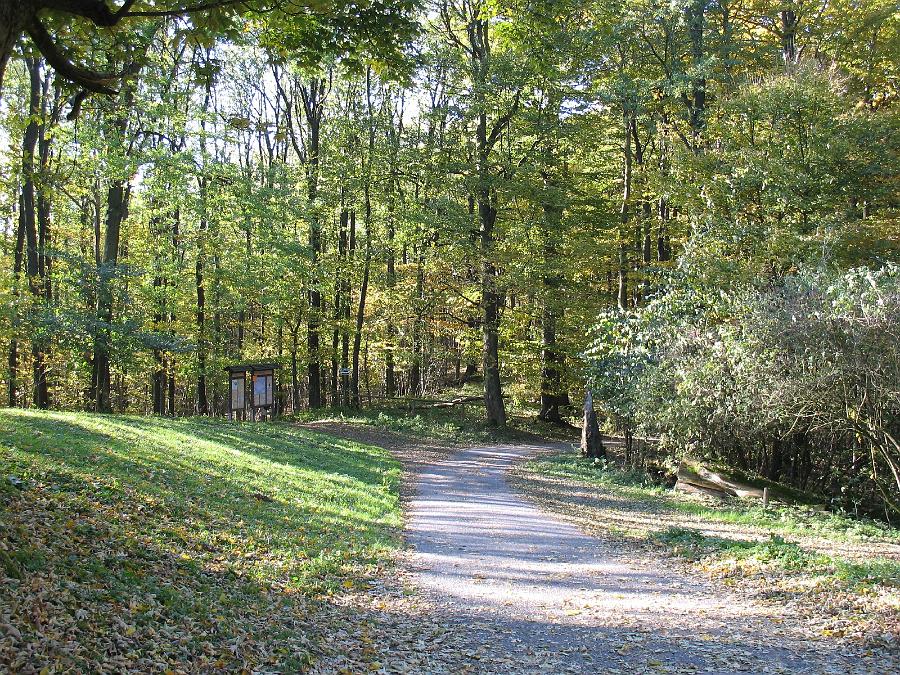 IMG_0909.JPG - Winterberg