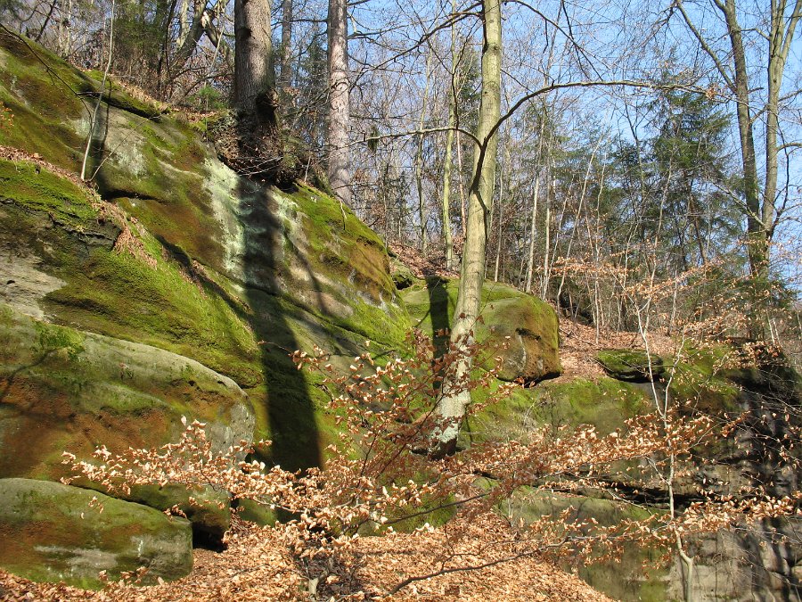 IMG_3582.JPG