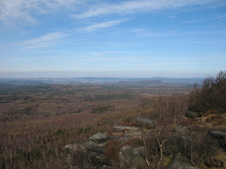 IMG_3540.JPG