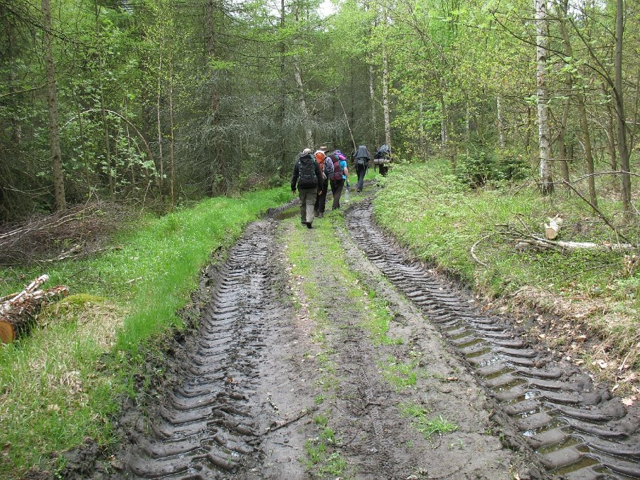 IMG_5133.JPG