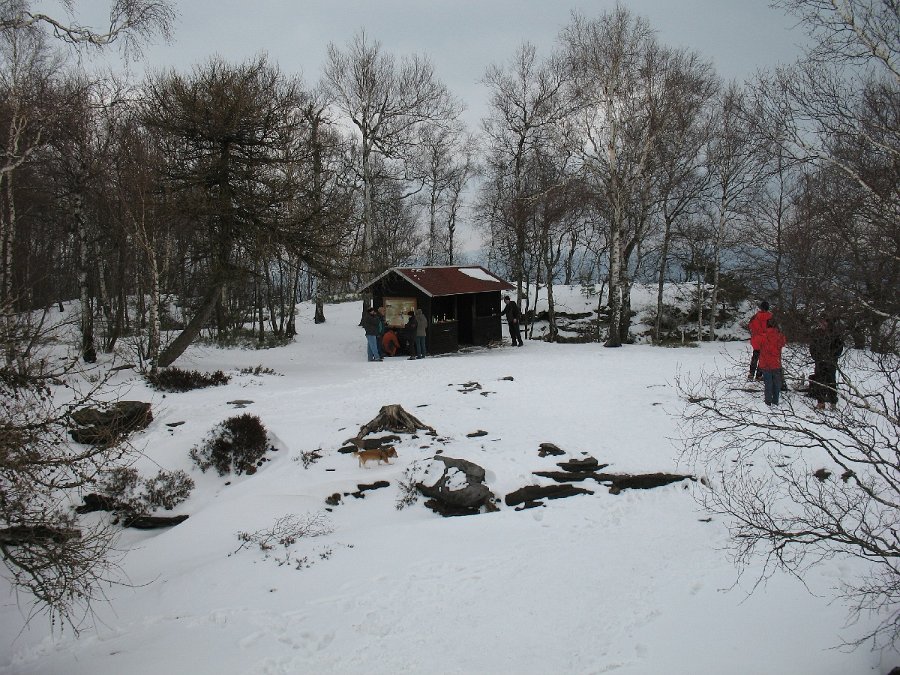 IMG_5038.JPG