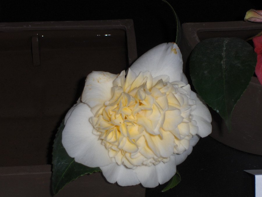 HPIM4066.JPG