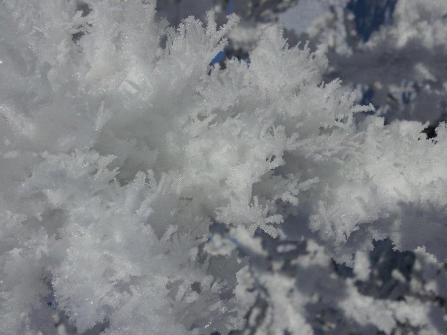 20140125_115118.jpg