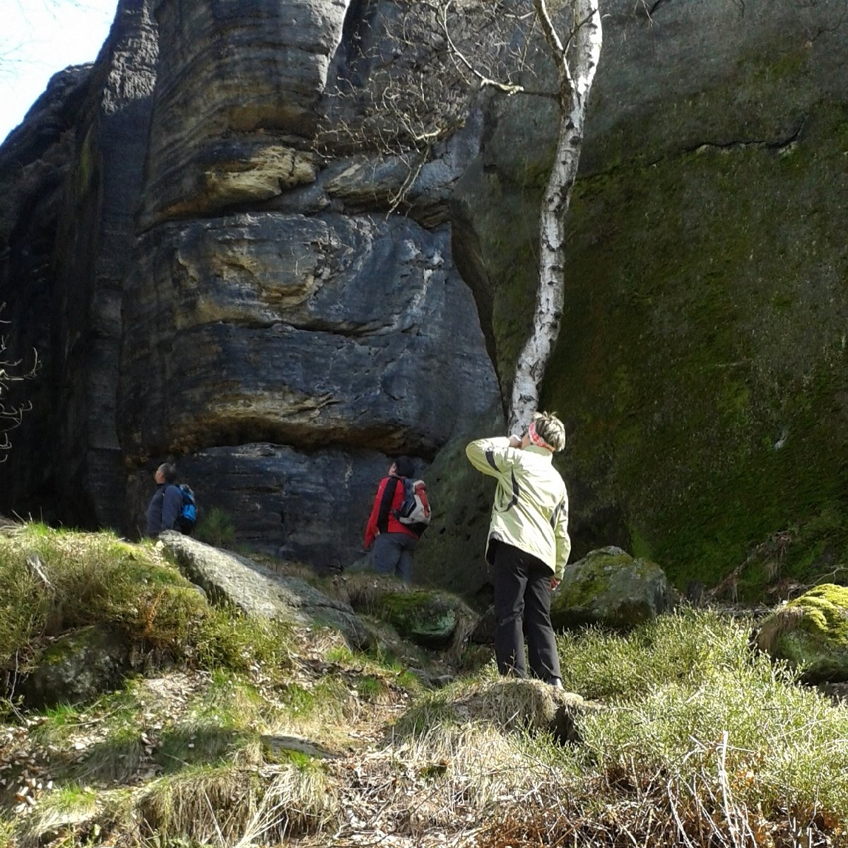 20170326_113019.jpg - Am Fuß des Pfaffensteines zwischen Förster und Königsspitze.